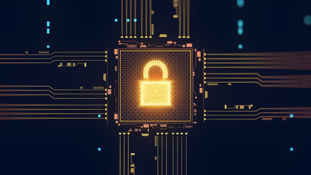 Security Illustration